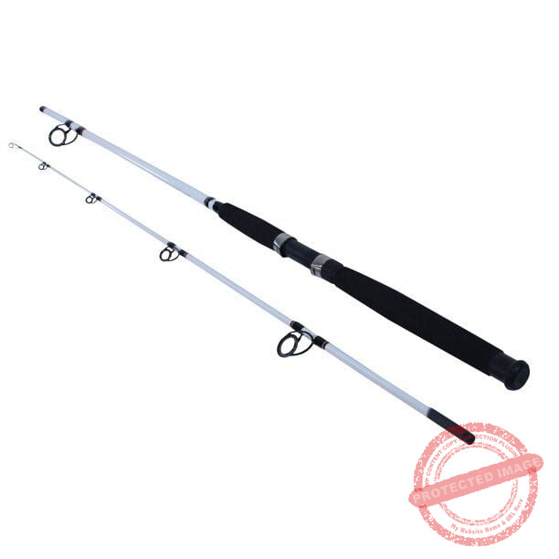 Berkley catfish rods