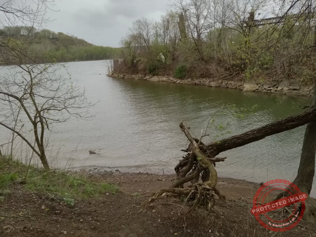 Fishing for Suckers in the spring at a creek mouth
